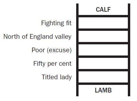 Word Ladder unsolved example puzzle