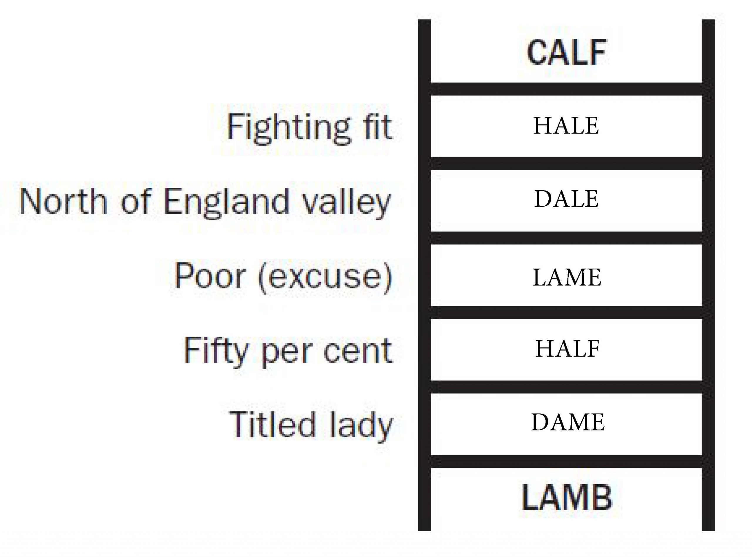 Word Ladder solved example puzzle