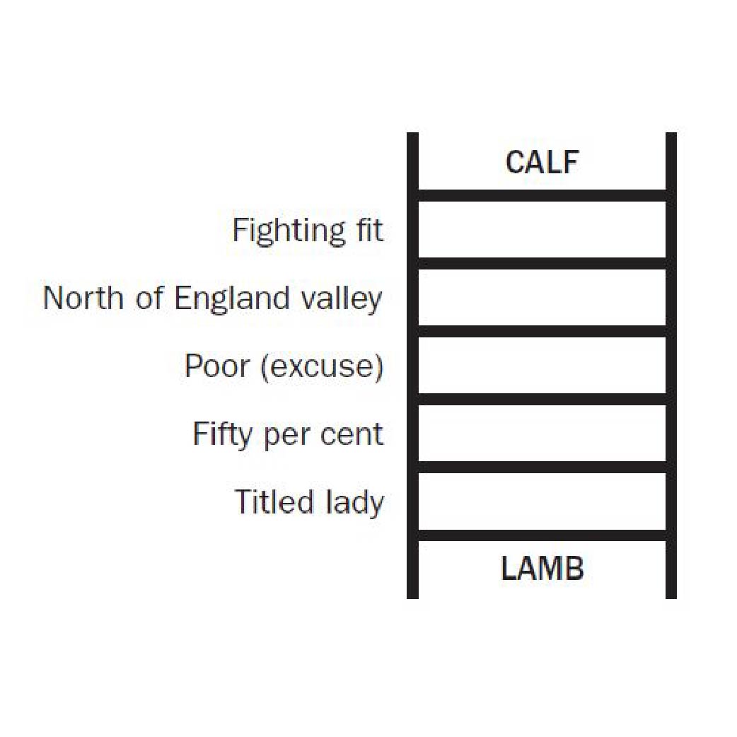 An example of a Word ladder puzzle